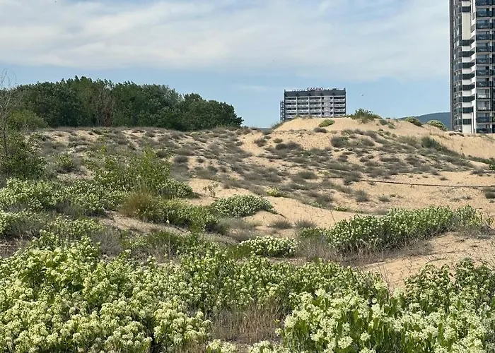 Sunny View Cacao 公寓 阳光海滩