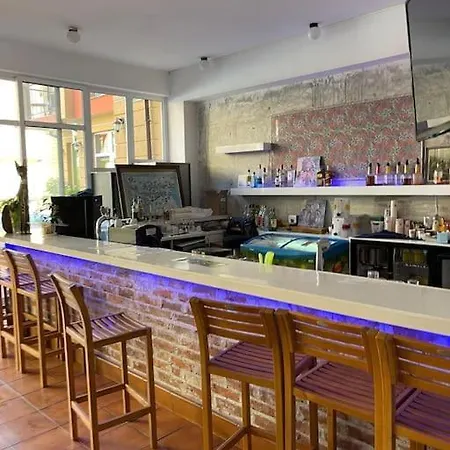 Sunny View Cacao Napospart