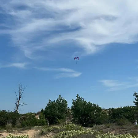 Sunny View Cacao * Napospart