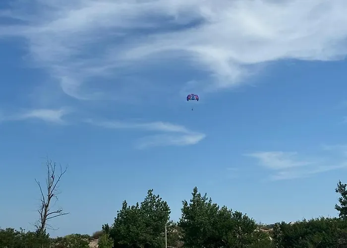 Sunny View Cacao * サニービーチ