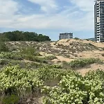 Sunny View Cacao Апартамент Слънчев бряг