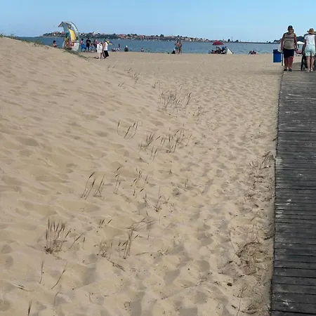 Daire Sunny View Cacao *