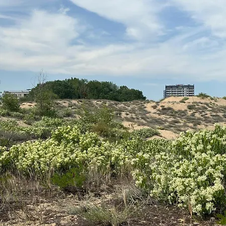 Daire Sunny View Cacao Sunny Beach