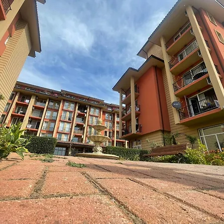 Sunny View Cacao Daire