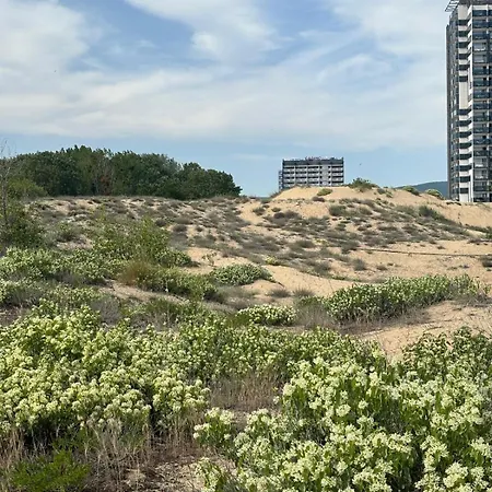 Sunny View Cacao Daire Sunny Beach