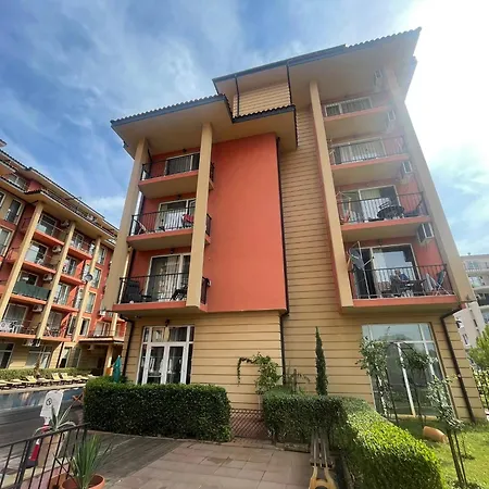 Sunny View Cacao * Slantchev Briag