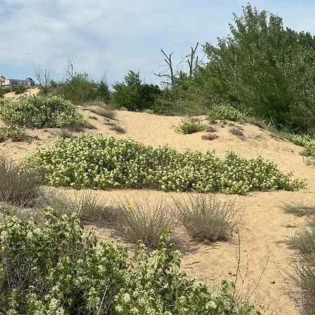 Sunny View Cacao Sunny Beach
