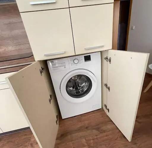 Sunny View Cacao * Slantchev Briag