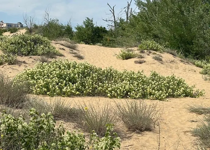 Sunny View Cacao Sunny Beach