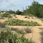 Sunny View Cacao Σάνι Μπιτς