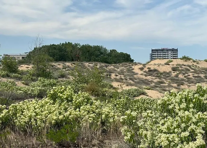 Apartamento Sunny View Cacao Sunny Beach